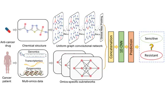 DeepCDR: a hybrid graph convolutional network for predicting cancer drug response