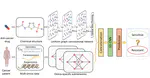 DeepCDR: a hybrid graph convolutional network for predicting cancer drug response