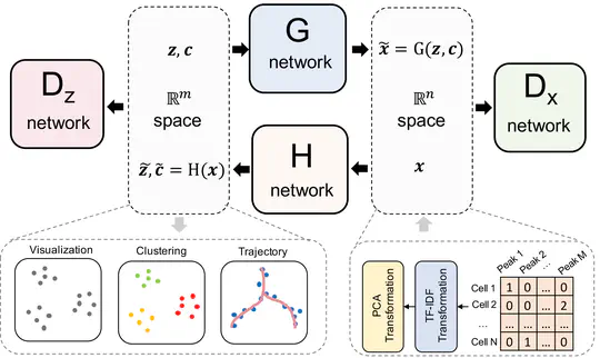 Simultaneous deep generative modelling and clustering of single-cell genomic data