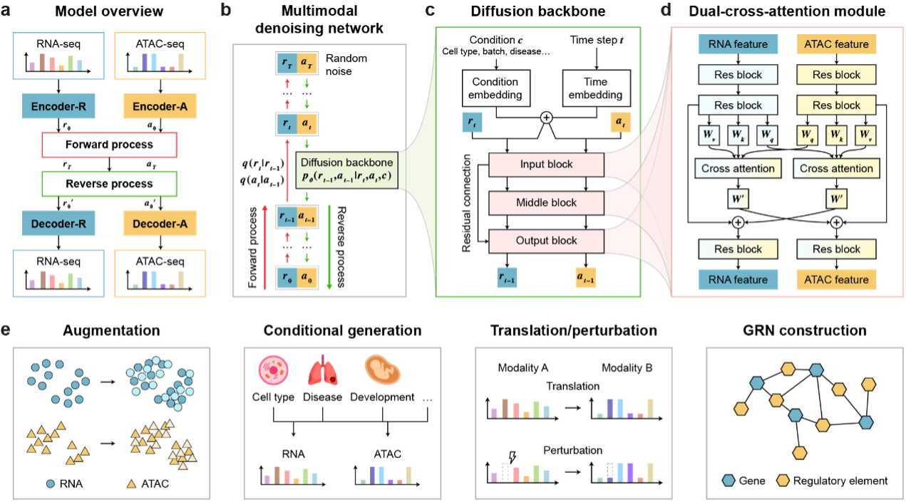 Multiband Diffusion Model A Multi-modal Diffusion Model with Dual-Cross-Attention for Multi-Omics ...