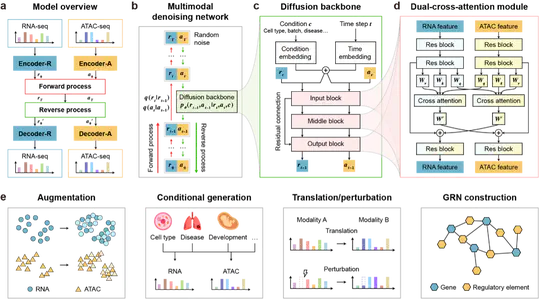Multi-modal Diffusion Model with Dual-Cross-Attention for Multi-Omics Data Generation and Translation
