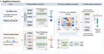 RegFM: an interpretable context-aware foundation model for human transcriptional regulation