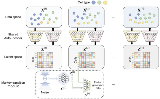 scMTG reconstructs single-cell temporal dynamics with Markov transition generators