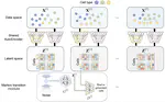 scMTG reconstructs single-cell temporal dynamics with Markov transition generators